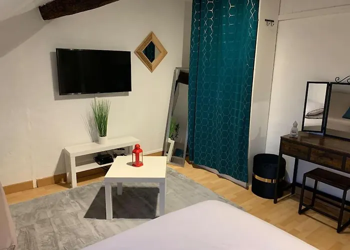 Appartement Hyper Centre Historique Emplacement N°1 #cocooning Nantes