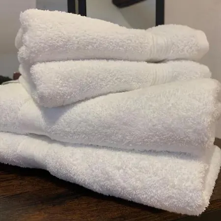 Hyper Centre Historique Emplacement N°1 #cocooning דירה נאנט